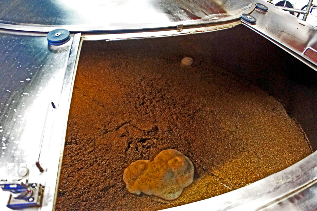 Inside the drained mash tun, with the grains still waiting to be removed