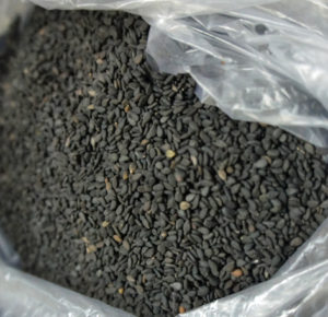 Black sesaei seeds